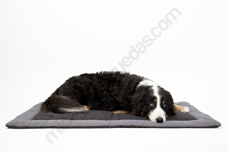 Tapis pour animaux de compagnie